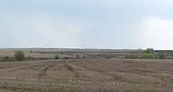 Окраина Сосновского сельсовета в районе д. Новое Зубрилово Тамалинского района. 2015.