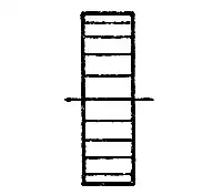 ПРЯМОЗУБЫЕ