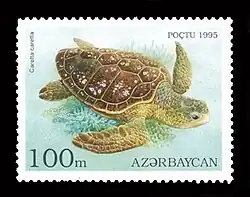 Логгерхед на марке Азербайджана 1995 года