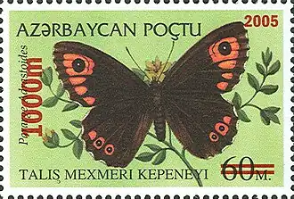 Бархатница талышская