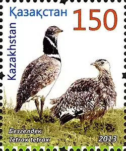 Стрепет на почтовой марке Казахстана, 2013