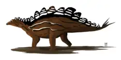 Stegosaurus