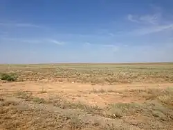 Steppe_near_Khulkhuta_2