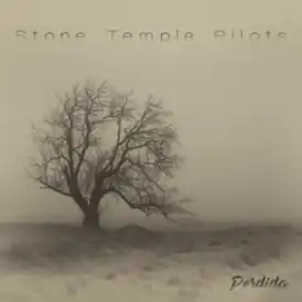 Обложка альбома Stone Temple Pilots «Perdida» (2020)
