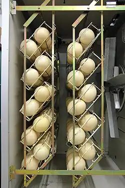 Инкубация яиц на страусинной ферме
