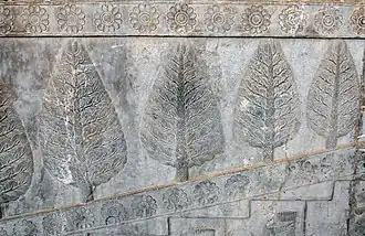 Изображение деревьев и цветов лотоса в Ападане, Персеполь