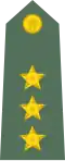 Captain (armed forces)