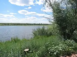 Пруд на Сухо-Пусто-Каргалке у посёлка Цветная Пустошь