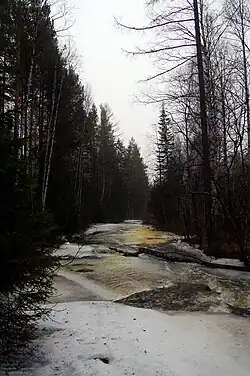 Сухокаменка в начале мая