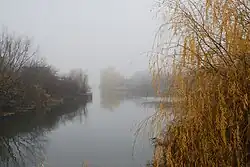 Река в Каратаево (близ устья)