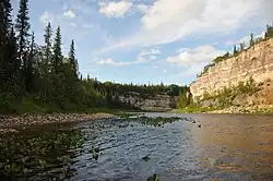 Каньон выше слияния с Малой Янгытой. Видна неоднородная структура пластов песчаников