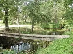 Супенка в Балтинаве летом 2012 года