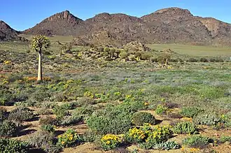 Пейзаж природного заповедника Гугап – ЮАР