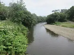 Сусуя в Южно-Сахалинске