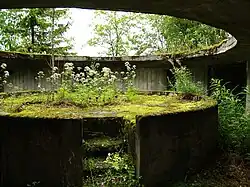 Остатки береговой батареи времён второй мировой войны на Вяйке-Пакри