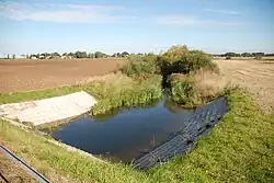 Среднее течение реки около деревни Балаузджюнай в Литве осенью 2010 года