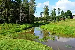 Низовье Свилы около деревни Сянойи-Катинаутишке летом 2018 года