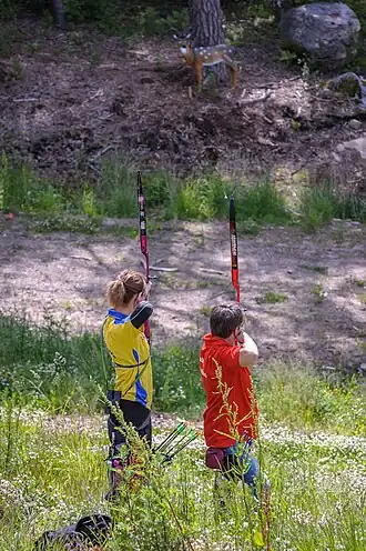 Открытый чемпионат Швеции 3Д в 2013
