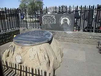 Памятник «дерево Сиринга», Чёрч-стрит, Рустенбург, ЮАР