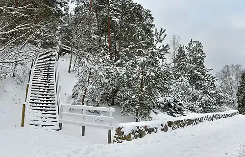 Песчаные дюны в Тыстамаа