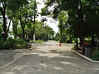 Аллея парка до реконструкции, 2011 г.