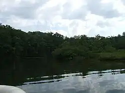 Впадение реки в озеро Бертон в Джорджии