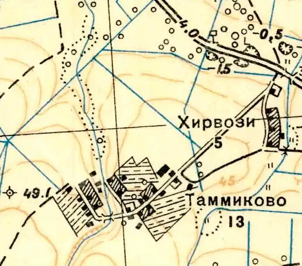 План деревни Таммиково. 1939 год