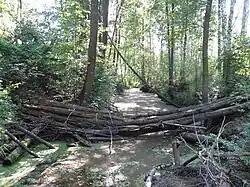 Старый мост через Тасуна дороге Тасино — Струя