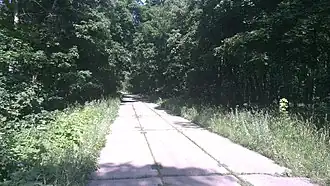 Дорога в село Глядковка