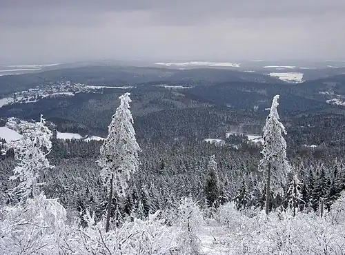 Таунус зимой