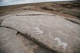 Изображения лошадей и быков