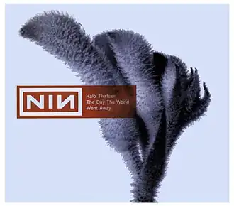 Обложка сингла Nine Inch Nails «The Day the World Went Away» (1999)