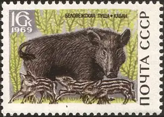 Почтовая марка СССР, 1969 год. Кабан