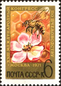 Пчела на цветке яблони ( (ЦФА [АО «Марка»] № 3995), 1971 год).