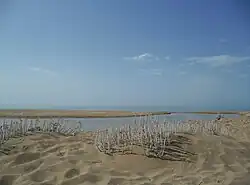 Устье реки Беличе около Маринеллы в коммуне Кастельветрано