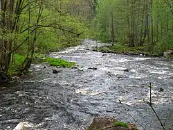 Пороги на Рощинке