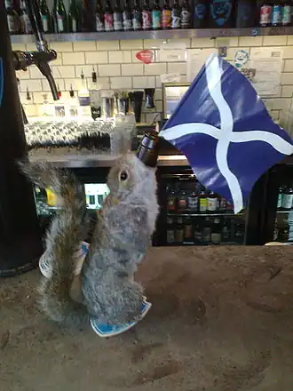 The End Of History в бутылке с препарированной серой белкой