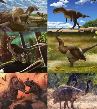 Некоторые представители теропод.
1-й ряд: Spinosaurus aegyptiacus & Carcharodontosaurus saharicus, Saltriovenator zanellai;
2-й ряд: аляскинские Saurornitholestinae[англ.], Serikornis sungei;
3-й ряд: Allosaurus sp. & Ceratosaurus sp., Dromaius novaehollandiae