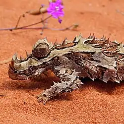 Молох в парке