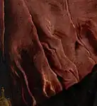 Драпировка (фрагмент)