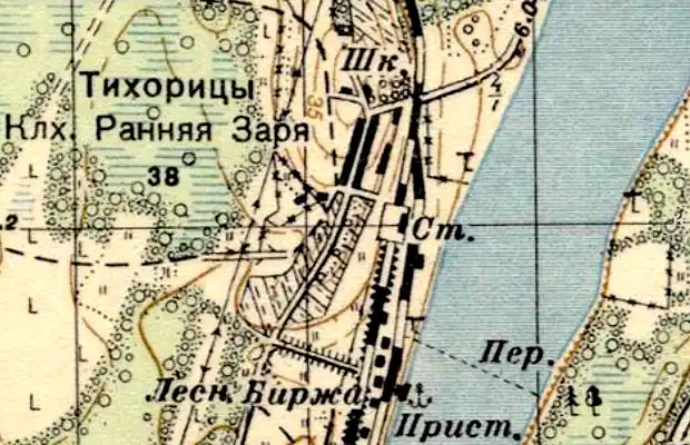 План деревни Тихорицы. 1937 год