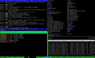 Скриншот программы tmux