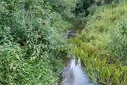 Русло реки Тоймины у деревни Дор.