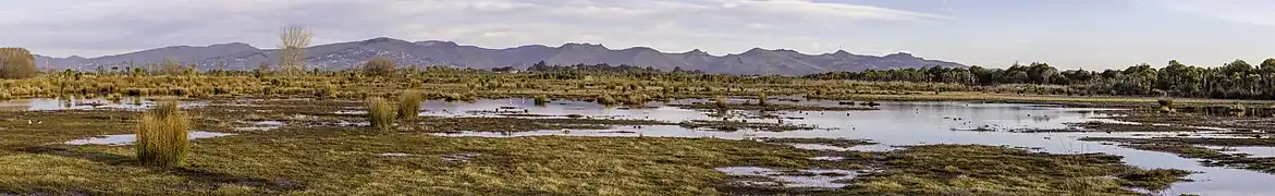 Панорама водно-болотных угодий Трэвис, август 2019