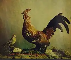 Птицы. Трихромия, 1879