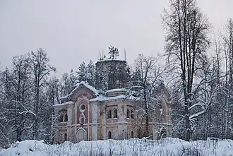 Троицкий собор (8 января 2010 года)