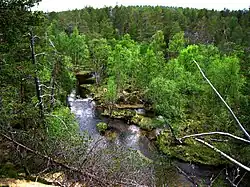 Заповедник «Тсармитунтури» в Финляндии