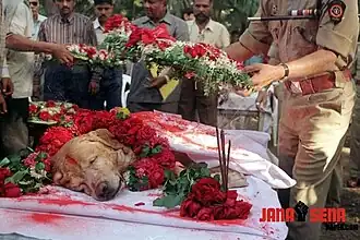 Похороны Занджира