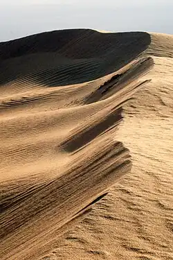 Песчаная пустыня, Дуз, 2005