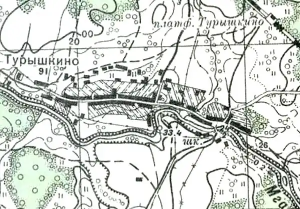 План деревни Турышкино. 1941 год